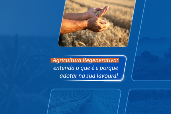 Agricultura Regenerativa: entenda o que é e porque adotar na sua lavoura