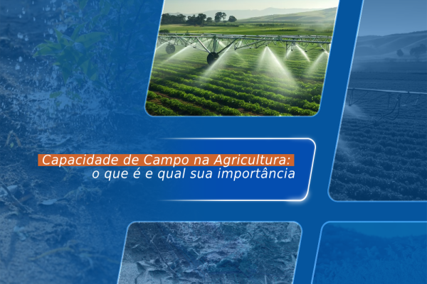 Capacidade de Campo na Agricultura: o que é e qual sua importância