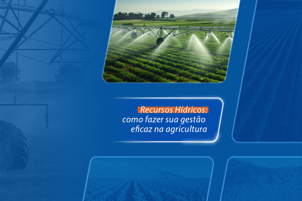 Recursos hídricos: como fazer sua gestão eficaz na agricultura