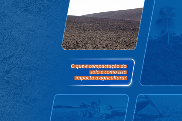 O que é compactação do solo e como isso impacta a agricultura?