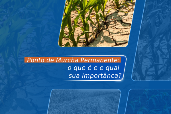 Ponto de murcha permanente:  o que é e qual sua importância