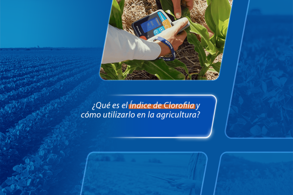 ¿Qué es el Índice de Clorofila y cómo utilizarlo en la agricultura?