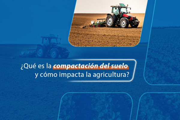 ¿Qué es la compactación del suelo y cómo impacta la agricultura?