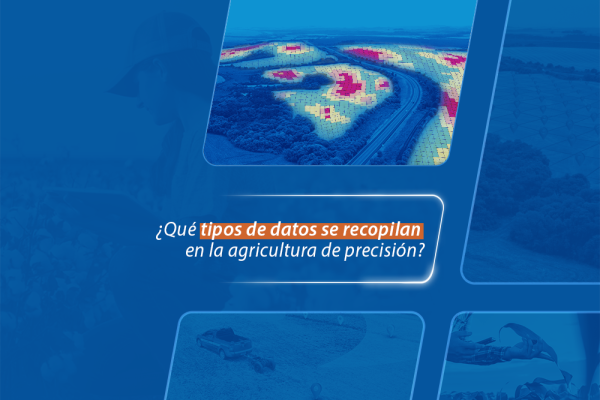 ¿Qué tipos de datos se recopilan en la agricultura de precisión?