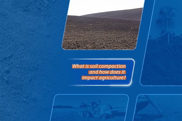 What is soil compaction and how does it impact agriculture?