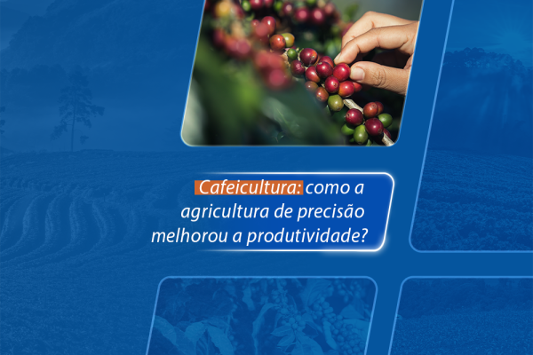 Cafeicultura: como a agricultura de precisão melhorou a produtividade?