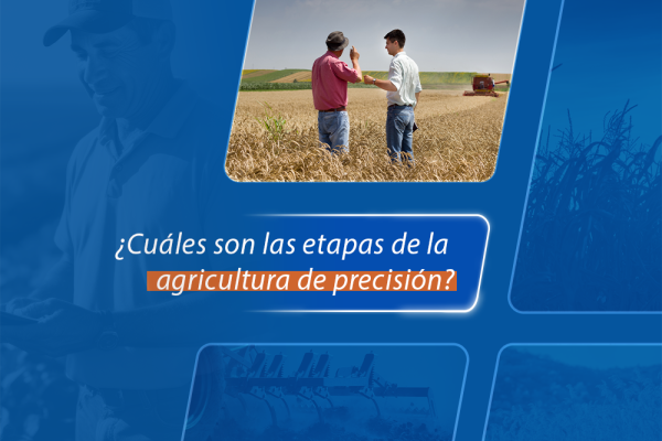 ¿Cuáles son las etapas de la agricultura de precisión?